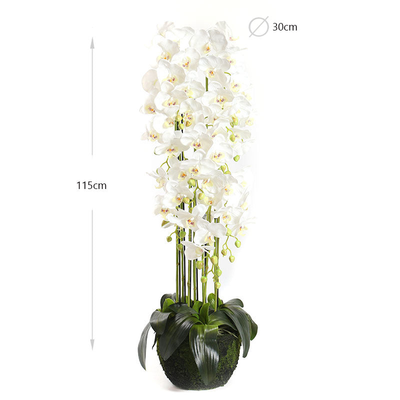 115 CM, Artificial Phalaenopsis Orchid Plant With Natural Base for Home Décor, Wedding Event, Party, Restaurant, Indoor, Outdoor - Medaid