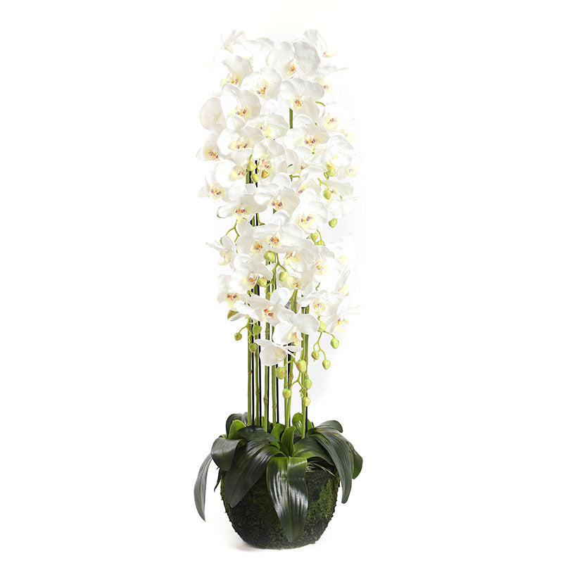 115 CM, Artificial Phalaenopsis Orchid Plant With Natural Base for Home Décor, Wedding Event, Party, Restaurant, Indoor, Outdoor - Medaid