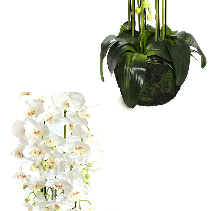 115 CM, Artificial Phalaenopsis Orchid Plant With Natural Base for Home Décor, Wedding Event, Party, Restaurant, Indoor, Outdoor - Medaid
