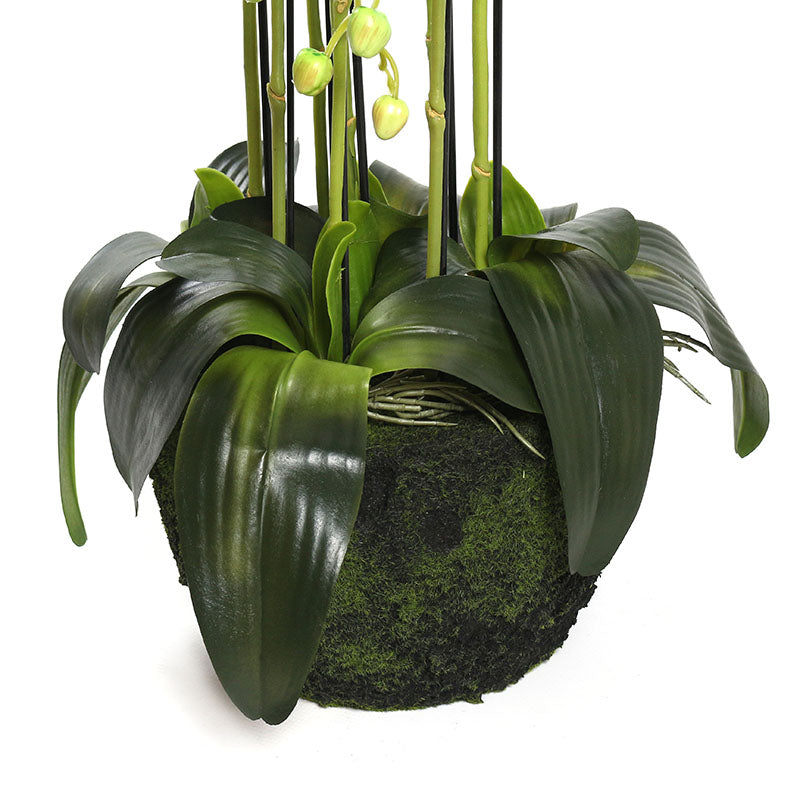 115 CM, Artificial Phalaenopsis Orchid Plant With Natural Base for Home Décor, Wedding Event, Party, Restaurant, Indoor, Outdoor - Medaid
