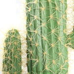 140 CM, Artificial Cactus Plant, Faux Fake Cactus Artificial Potted Plant Pot for Home, Office, Indoor and Outdoor Decoration - Medaid