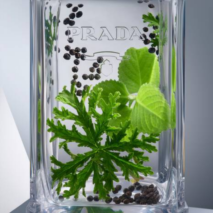 Prada Perfume - L'Homme Eau de Toilette for Men - Medaid