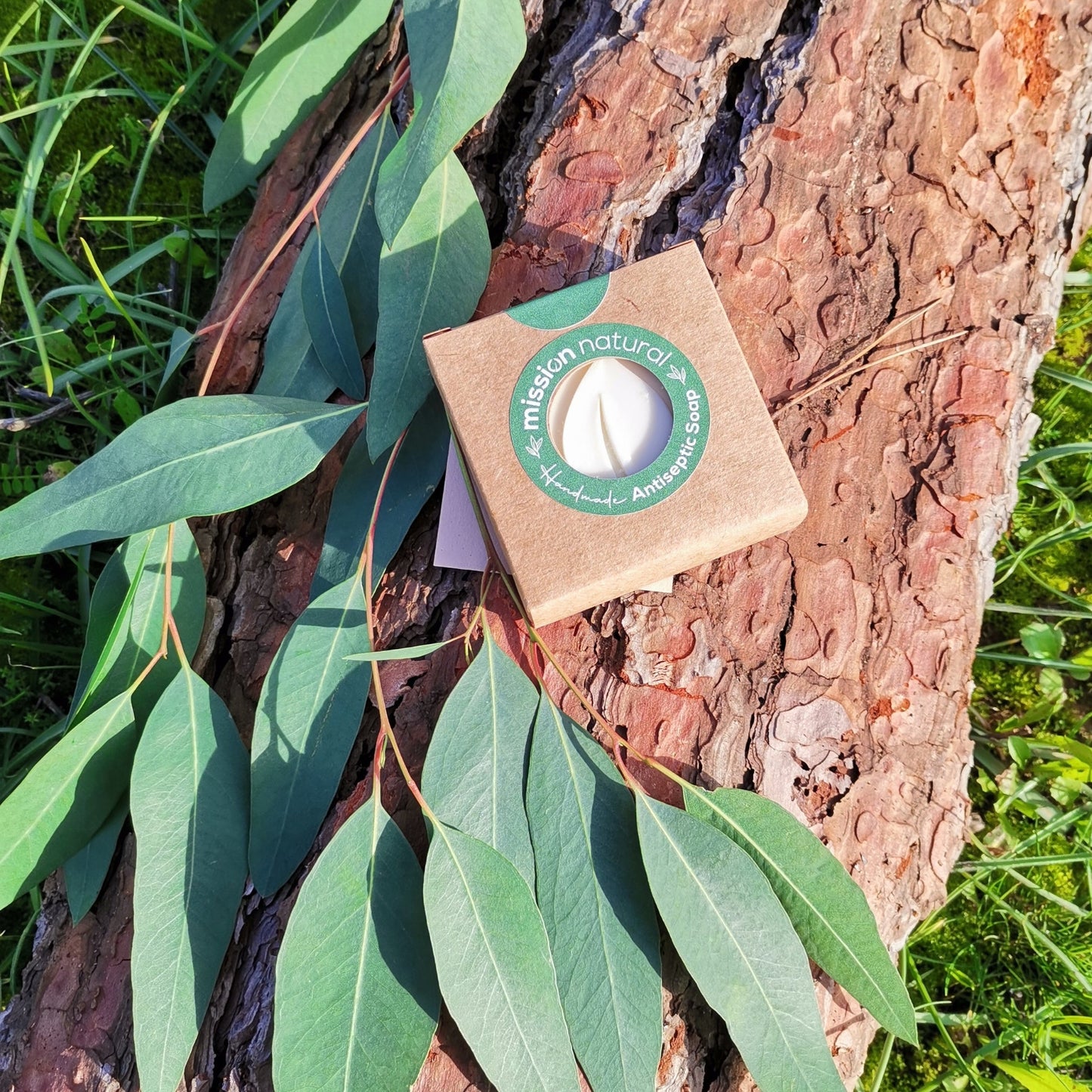 Antiseptic Soap - Medaid