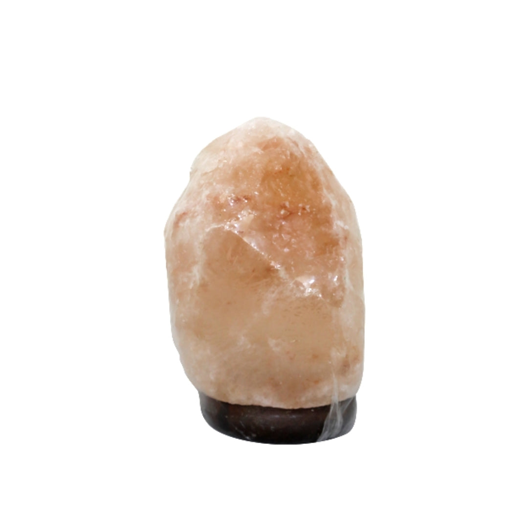 Natural Himalayan Salt Lamp