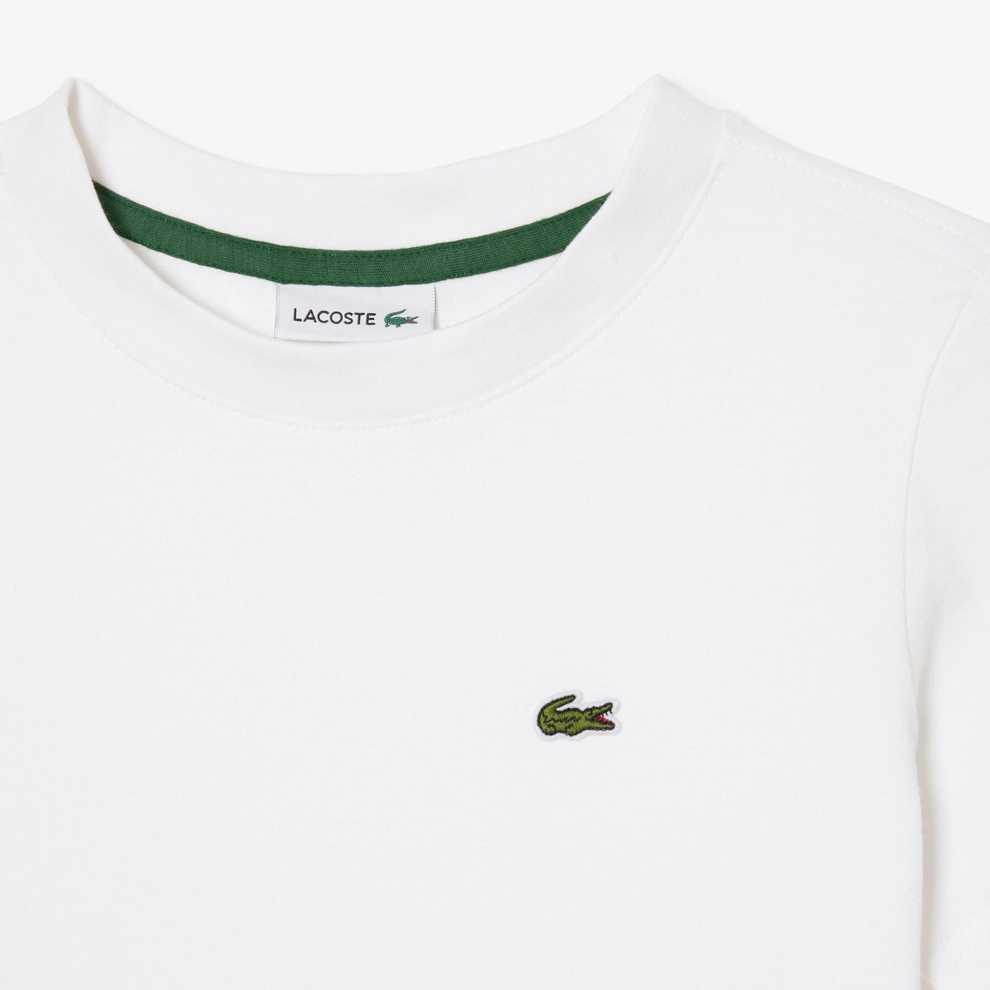 Plain Cotton Jersey T-shirt - Medaid International