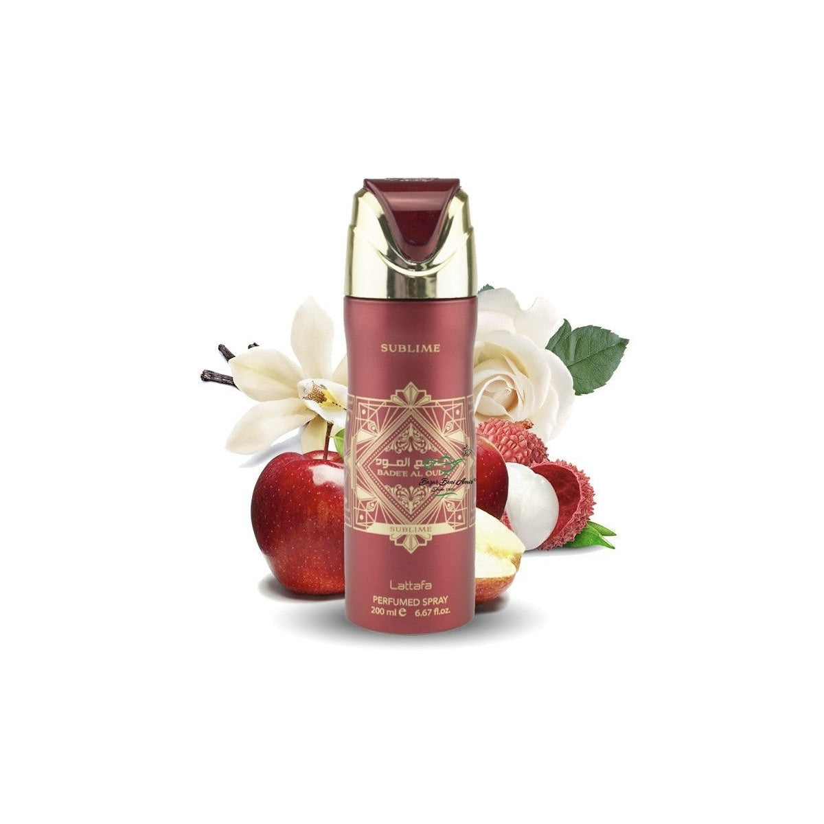 Deodorant Spray - Medaid