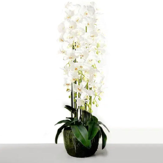 115 CM, Artificial Phalaenopsis Orchid Plant With Natural Base for Home Décor, Wedding Event, Party, Restaurant, Indoor, Outdoor - Medaid