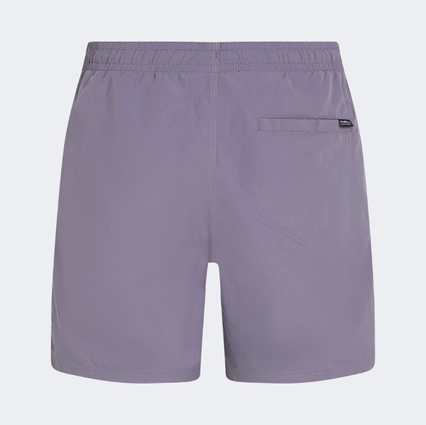 Oneill Vert Men Beach Swim Short Purple - Medaid International