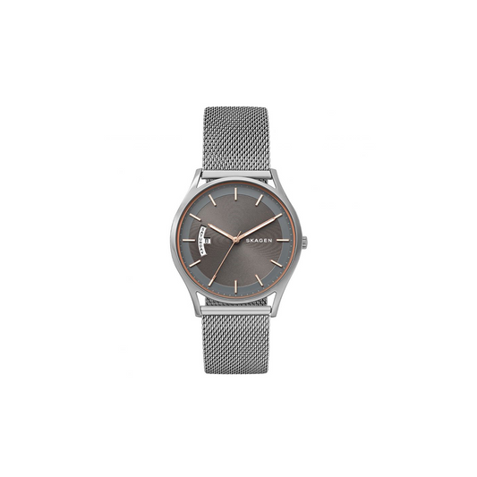 Skagen Holst Steel Mesh Day Date Watch - Medaid