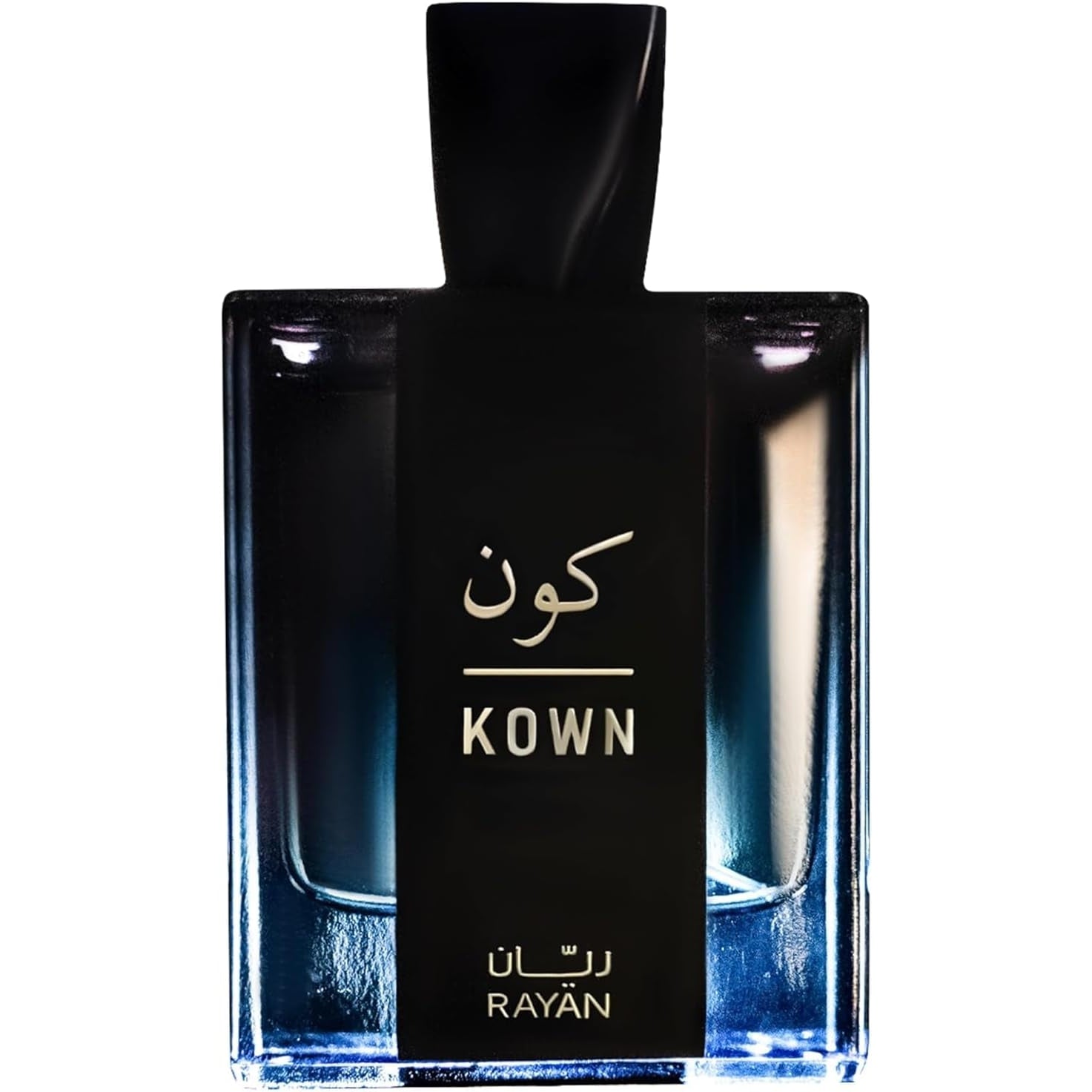RAYAN Men Arabian Perfume - Oud Modern Eau De Parfum - Long Lasting Perfume for Men - Oud & Grapefruit Perfume with Cardamom, Lavender, & Sandalwood - Ideal Gift for All Occasions - 100 mL Perfume - Medaid