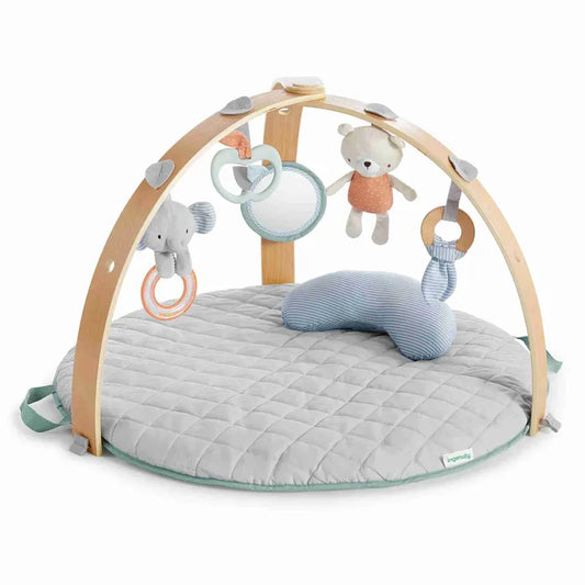 Cozy Spot Reversible Duvet Activity Gym with Self-storage - Medaid International