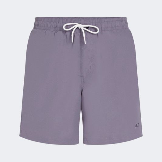 Oneill Vert Men Beach Swim Short Purple - Medaid International