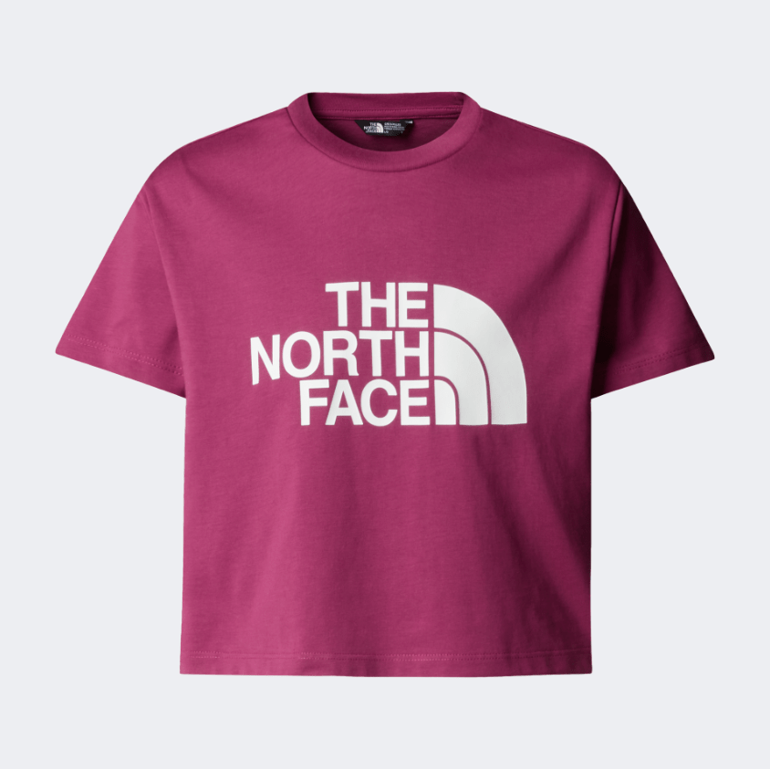 The North Face Crop Easy Girls Lifestyle T-Shirt Cyber Berry - Medaid