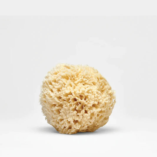 Phytomer Marine Sponge - Medaid
