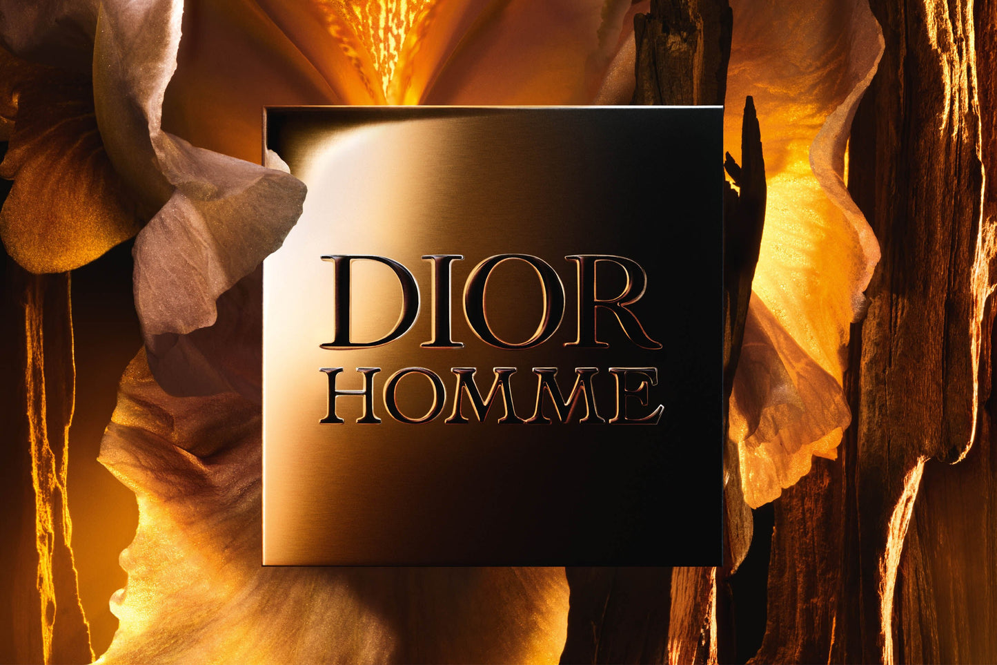 Dior Homme Parfum for Men by Christian Dior 3.4 oz (75ml) - Medaid