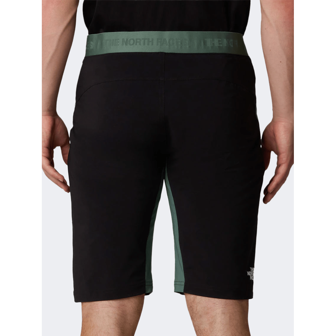 The North Face Felik Slim Tapered Men Hiking Short Duck Green/Black - Medaid International