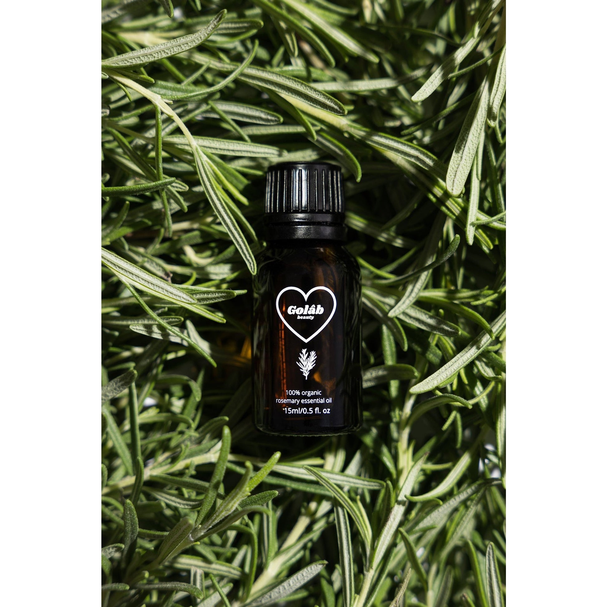 100% Organic Rosemary Essential Oil - Medaid